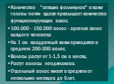 Количество "спящих фолликулов" в коже головы почти вдвое превышает количество функционирующих волос. 100.000 - 150.000 волос - арсенал волос каждого человека На 1 см квадратный кожи приходится в среднем 200-300 волос. Волосы растут от 1-1,5 см в месяц. Растут волосы неодинаково. Отдельный 