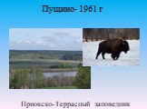 Приокско-Террасный заповедник. Пущино- 1961 г