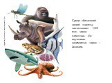 Среди обитателей нашей планеты насчитывают 1,5-2 млн. видов животных. Их изучением занимается наука – Зоология. http://www.folomade.ru/taxonomy/term/686/0