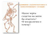 Сравнение скелета человека и млекопитающего (лошади). Какие черты сходства вы могли бы отметить? В чем различия и почему?