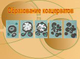 Образование коацерватов