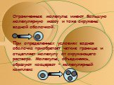 Ограниченные молекулы имеют большую молекулярную массу и тоже окружены водной оболочкой. При определенных условиях водная оболочка приобретает четкие границы и отщепляет молекулу от окружающего раствора. Молекулы, объединяясь, образуют коацерват – молекулярный комплекс