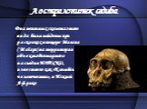 Австралопитек седиба. Два неполных скелета этого вида были найдены при раскопках в пещере Малапа (Malapa) на территории объекта Всемирного наследия ЮНЕСКО, известного как «Колыбель человечества», в Южной Африке
