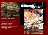 Ротонда с быками Самое просторное верхнее помещение пещеры. Рисунки на стенах изображают купных рогатых животных: быков, антилоп Гну.