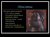 Homo erectus. Обладали средним ростом (1,5—1,8 м), прямой походкой и архаическим строением черепа (толстые стенки, низкая лобная кость, выступающие надглазничные валики, скошенный подбородок).