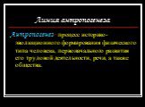 Линия антропогенеза. Антропогенез- процесс историко-эволюционного формирования физического типа человека, первоначального развития его трудовой деятельности, речи, а также общества.