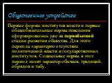 Общественное устройство. Первые формы институтов власти и первые общеобязательные нормы поведения сформировались уже на первобытной стадии развития общества. Для этого периода характерно отсутствие политической власти и государственных институтов. Социальные нормы в этот период носят характер обычае