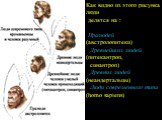 Как видно из этого рисунка люди делятся на : Пралюдей (австролопитеки) Древнейших людей (питекантроп, синантроп) Древних людей (неандертальцы) Люди современного типа (homo sapiens)