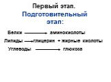 Первый этап. Подготовительный этап: Белки аминокислоты Липиды. глицерин + жирные кислоты. Углеводы глюкоза