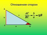 Синус, косинус, тангенс острого угла прямоугольного треугольника Слайд: 6