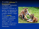 В сентябре 2010 года во Владивостоке планируется проведение международного Тигриного Саммита на уровне глав правительств 13 стран, на территории которых обитают тигры. В ходе саммита планируется обсудить проблему сокращения мировой популяции тигров, а так же постройки совместного российско-китайског