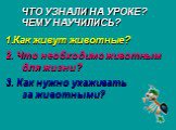 ЧТО УЗНАЛИ НА УРОКЕ? ЧЕМУ НАУЧИЛИСЬ? Как живут животные? 2. Что необходимо животным для жизни? 3. Как нужно ухаживать за животными?