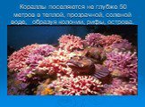 Кораллы поселяются не глубже 50 метров в теплой, прозрачной, соленой воде, образуя колонии, рифы, острова.