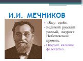 И.И. МЕЧНИКОВ. 1845- 1916г. Великий русский ученый, лауреат Нобелевской премии. Открыл явление фагоцитоз