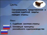 Цель: Сформировать представление о системе судебной защиты граждан страны. План: Судебная система страны Основные принципы российского судопроизводства