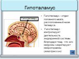 Гипоталамус - отдел головного мозга, расположенный ниже таламуса. Гипоталамус контролирует деятельность эндокринной системы благодаря тому, что его нейроны секретируют нейрогормоны (вазопрессин)