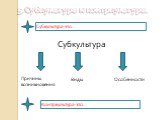 5.Субкультура и контркультура. Субкультура-это… Субкультура. Причины возникновения. Виды Особенности. Контркультура-это…