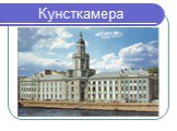 Кунсткамера