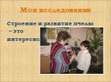 Мои исследования. Строение и развитие пчелы – это интересно