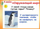 У какой птицы самые густые перья? Почему? У императорского пингвина, чтобы не замёрзнуть на морозе.