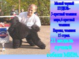 Малый черный ПУДЕЛЬ- 3-кратный чемпион мира,4-кратный чемпион Европы, чемпион 15 стран. 21 медаль лучшей собаки МИРА.