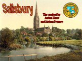 Salisbury. The project by Anton Zuev and Artem Ivanov