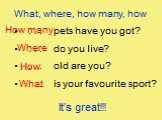 What, where, how many, how . . . pets have you got? . . . do you live? . . . old are you? . . . is your favourite sport? What Where How many How It’s great!!!