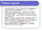 Высота растения 50—125 см, нередко растёт как полукустарник, со стержневым ветвистым корнем и прямостоячими побегами, с серебристо-войлочным опушением. Стебли прямые, слаборебристые, в верхней части ветвистые. Нижние листья длинночерешковые, дважды-трижды перисто-рассечённые, средние — короткочерешк