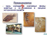 Палеозоология. - наука, исследующая ископаемые формы животных и их изменения в процессе исторического развития