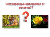 Чем животные отличаются от растений?