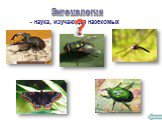 Энтомология. - наука, изучающая насекомых