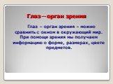 Глаз – орган зрения. Глаз – орган зрения – можно сравнить с окном в окружающий мир. При помощи зрения мы получаем информацию о форме, размерах, цвете предметов.