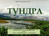 МБОУ Подозёрская СОШ. Урок по курсу ОКРУЖАЮЩИЙ МИР 4 класс Учитель: Щавелёва Ольга Александровна. ТУНДРА