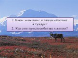 Какие животные и птицы обитают в тундре? 2. Как они приспособились к жизни?