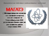 МАГАТЭ ( Международное агентство по атомной энергии) после аварии на Чернобыльской АЭС установило более строгие регламенты работ персонала АЭС