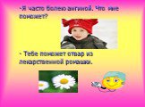 Я часто болею ангиной. Что мне поможет? - Тебе поможет отвар из лекарственной ромашки.