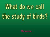 What do we call the study of birds?