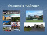 The capital is Wellington
