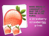 Nouns ending in consonant+y, drop the –y and take –ies in the plural. a strawberry-strawberries y-i+es