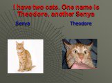 I have two cats. One name is Theodore, another Senya. Senya Theodore