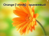 Orange [‘Ɔrιnʤ] - оранжевый