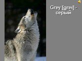 Grey [greι] - серый