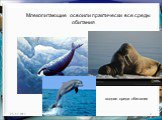 http://aida.ucoz.ru. Млекопитающие освоили практически все среды обитания. водная среда обитания