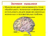 Значение мышления. Мышление дает нам возможность точно обрабатывать полученную информацию и использовать ее для решения различных жизненных и познавательных проблем.