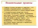 Главное отличие человека от животных – это сознание, владение речью, способность к трудовой деятельности и общественной жизни. К познавательным процессам относят ощущения, восприятие, память, воображение, мышление. Ощущения отражают отдельные качества предмета, восприятие – весь предмет и всю обстан