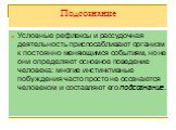 Подсознание. Условные рефлексы и рассудочная деятельность приспосабливают организм к постоянно меняющимся событиям, но не они определяют основное поведение человека: многие инстинктивные побуждения часто просто не осознаются человеком и составляют его подсознание.