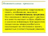 Познавательные процессы. Ощущения, восприятия, представления, память, воображение, мышление являются познавательными процессами. Они неразрывно связаны друг с другом и все вместе участвуют в сборе, обработке и хранении информации. Благодаря этим процессам мы можем разобраться в окружающей нас обстан