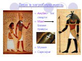 Вера в загробную жизнь. Анубис- бог смерти Маат – богиня правды Мумия Саркофаг