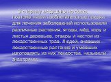 В старину медицины не было, поэтому наши изобретательные предки для лечения заболеваний использовали различные растения, ягоды, мёд, кору и листья деревьев, отвары и настои из лекарственных трав. Людей, знавших лекарственные растения и умевших изготовлять из них лекарства, называли знахарями.