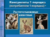 Консументы 1 порядка (потребители 1 порядка) -. Растительноядные животные